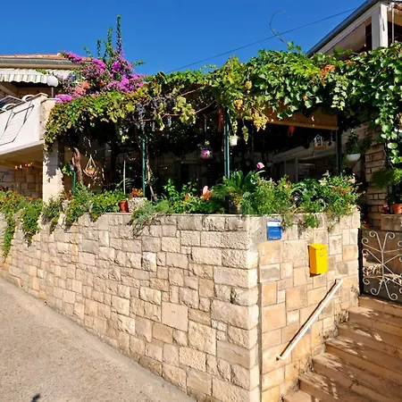 Kat * 스프리트스카